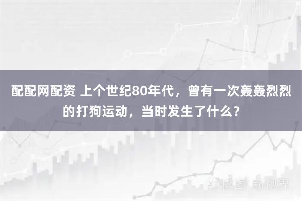 配配网配资 上个世纪80年代，曾有一次轰轰烈烈的打狗运动，当时发生了什么？